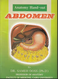 SAMMEH DOSS ABDOMEN