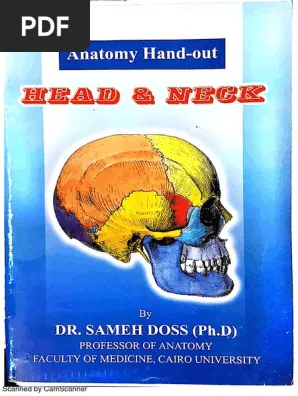 SAMMEH DOSS HEAD & NECK